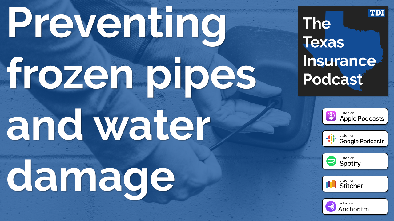 Preventing frozen pipes and water damage